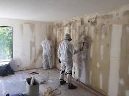 Environmental Consulting for Mold Prevention in Paloma Creek, TX